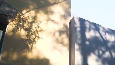 光影树影斑驳阳光视频的预览图